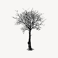 Leafless tree clipart, nature illustration vector. Free public domain CC0 image.