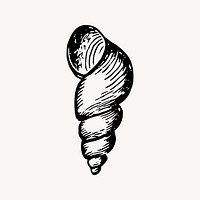 Seashell drawing, beach object illustration vector. Free public domain CC0 image.