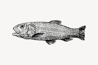 Sea fish clipart, extinct animal illustration vector. Free public domain CC0 image.