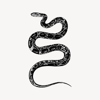 Rat snake clipart, animal illustration vector. Free public domain CC0 image.