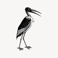 Stork drawing, bird illustration vector. Free public domain CC0 image.