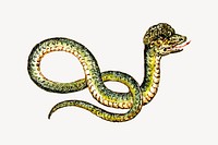 Snake clipart, animal illustration vector. Free public domain CC0 image.