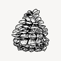 Pine cone clipart, Christmas illustration vector. Free public domain CC0 image.
