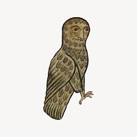 Owl collage element/drawing/clipart, medieval bird illustration vector. Free public domain CC0 image.