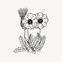 Wildflower drawing, floral illustration vector. Free public domain CC0 image.