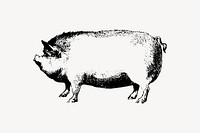 Pig clipart, farm animal illustration vector. Free public domain CC0 image.