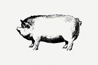 Pig collage element, farm animal illustration psd. Free public domain CC0 image.