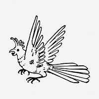 Parrot bird black and white illustration clipart. Free public domain CC0 image