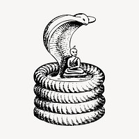 Cobra sage illustration clipart vector. Free public domain CC0 image