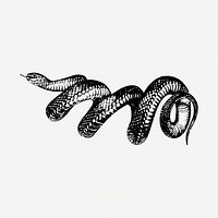 Snake clipart illustration psd. Free public domain CC0 image