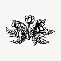 Flower clipart, vintage hand drawn vector. Free public domain CC0 image.