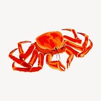 Alaskan crab clipart, sea animal illustration. Free public domain CC0 image.