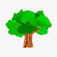 Tree clipart, botanical illustration. Free public domain CC0 image.