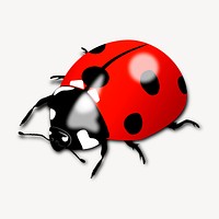 Ladybug clipart, animal illustration vector. Free public domain CC0 image