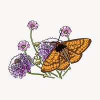 Butterfly clipart, animal illustration vector. Free public domain CC0 image