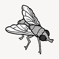 Fly clipart, animal illustration psd. Free public domain CC0 image