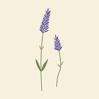 Lavender psd minimal wildflower illustration