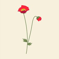 Red poppy flower psd minimal illustration