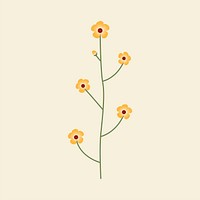 Bulbous buttercup psd minimal wildflower illustration