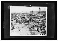 Auto graveyard. A Detroit auto graveyard. Junked autos and trucks to be shipped to scrapyards and then to the Great Lakes Steel Plant. Sourced from the Library of Congress.