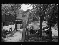 [Untitled photo, possibly related to: Backyard near Capitol, Washington, D.C. African American children have just discovered the cameraman and are concerned at his presence]. Sourced from the Library of Congress.
