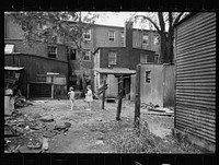 [Untitled photo, possibly related to: Children in slum area, Washington, D.C. Children in their backyard in a slum area near the Capitol. This area inhabited by both black and white]. Sourced from the Library of Congress.