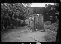 [Untitled photo, possibly related to:  slum backyard, Washington, D.C.]. Sourced from the Library of Congress.