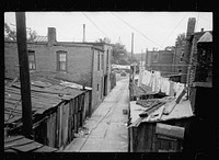 [Untitled photo, possibly related to: Alleyway inhabited by black and white near the Capitol, Washington, D.C.]. Sourced from the Library of Congress.