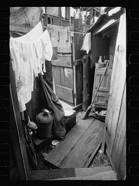 Backyard of house near the House office building, showing privy on extreme right with water supply between privy and ice box. This is an alley dwelling and these tiny, overcrowded, dirty backyards are characteristic of this section. Sourced from the Library of Congress.