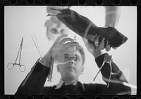 [Untitled photo, possibly related to: Inoculation of guinea pig. Experimental farm of Department of Agriculture, Prince George's County, Maryland]. Sourced from the Library of Congress.