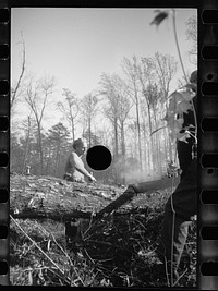 [Untitled photo, possibly related to: Transient worker clearing land, Prince George's County, Maryland]. Sourced from the Library of Congress.