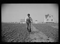 Miner-farmer working his land at the Granger Homesteads. Sourced from the Library of Congress.