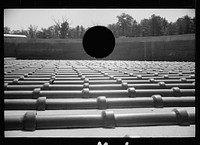 [Untitled photo, possibly related to: Tile sewer pipe to be used at Greenbelt, Maryland]. Sourced from the Library of Congress.