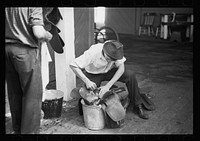 Scrubbing saddle at Eastern States Fair. Springfield, Massachusetts. Sourced from the Library of Congress.