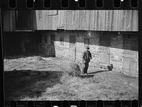 [Untitled photo, possibly related to: Lloyd Kramer farm, Farmersville, Pennsylvania, Northampton farm site]. Sourced from the Library of Congress.