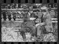[Untitled photo, possibly related to: Man in the park, Manchester, New Hampshire]. Sourced from the Library of Congress.
