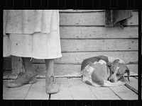 Sharecropper and sharecropper's dog. North Carolina. Sourced from the Library of Congress.