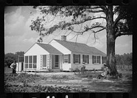 One of the Penderlea homesteads, North Carolina. Sourced from the Library of Congress.