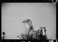 [Untitled photo, possibly related to: Threshing crew loading bundles, Tygart Valley, West Virginia]. Sourced from the Library of Congress.