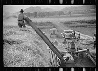 [Untitled photo, possibly related to: Threshing, Tygart Valley, West Virginia]. Sourced from the Library of Congress.