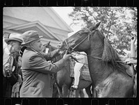 Horse judging at the fair, Albany, Vermont. Sourced from the Library of Congress.