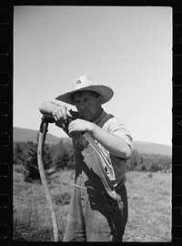 [Untitled photo, possibly related to: Farm boy and horse east of Lowell, Vermont]. Sourced from the Library of Congress.