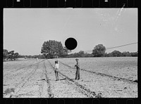 [Untitled photo, possibly related to Roanoke farms, Enfield, North Carolina]. Sourced from the Library of Congress.