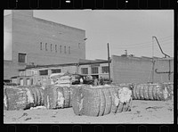 Cotton storeyard, Enfield, North Carolina. Sourced from the Library of Congress.