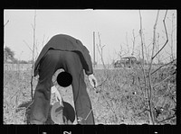 [Untitled photo, possibly related to Roanoke Farms, Enfield, North Carolina]. Sourced from the Library of Congress.