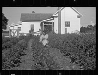 Mrs. Cole in her garden, Irwinville Farms, Georgia. Sourced from the Library of Congress.