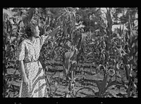 [Untitled photo, possibly related to: Mrs. Cole in her garden, Irwinville Farms, Georgia]. Sourced from the Library of Congress.