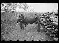 [Untitled photo, possibly related to: County supervisor visiting family of FSA (Farm Security Administration) rehabilitation borrower, Lake of the Woods County, Minnesota]. Sourced from the Library of Congress.