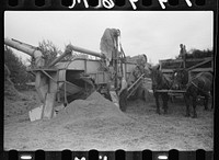 [Untitled photo, possibly related to: Threshing alfalfa seed to be marketed at farmers' coop seed exchange, Minnesota]. Sourced from the Library of Congress.