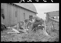 Farm boy of Minnesota cut-over land, Lake of the Woods County, Minnesota. Sourced from the Library of Congress.